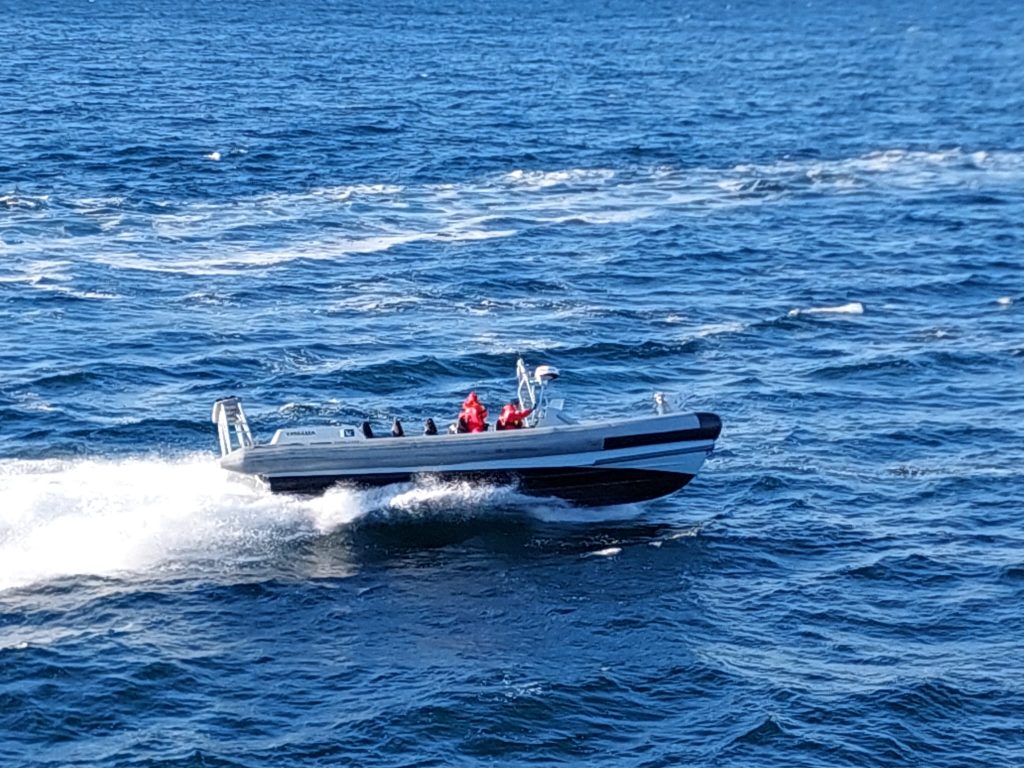 IMG-20241214-WA0038