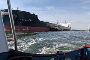 PXL_20220922_105517399