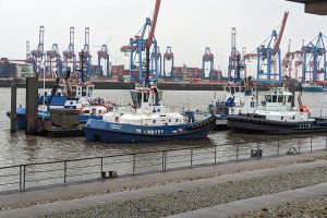 PXL_20230723_104411460