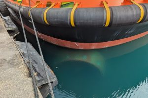 PXL_20231115_085824279