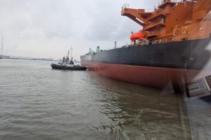 PXL_20250211_093417855